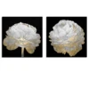 Gold And White Blossom On Black - Set Of 2 1 Gold And White Blossom On Black - Set Of 2 -Home Decor Shop webimage 630160015 jpg