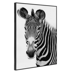 Exotic Animals 1 -Home Decor Shop webimage 630179050 1 jpg