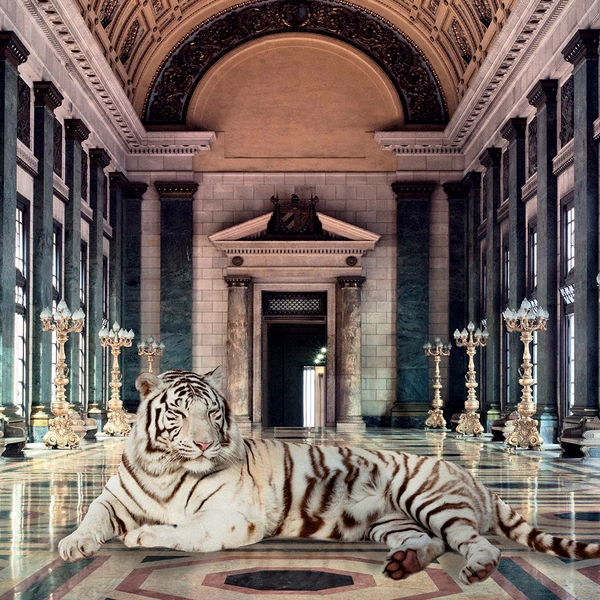 Resting In My Palace 5 Resting In My Palace - Image 3