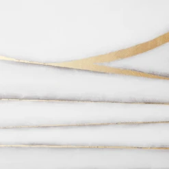 Organize The Party 3 -Home Decor Shop webimage 630297712 DTL2