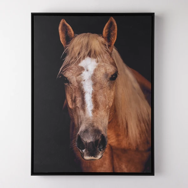 Horse In Town 9 3 Horse In Town 9