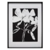 Whimsical Flowers 1 - Limited Edition 1 Whimsical Flowers 1 - Limited Edition -Home Decor Shop webimage 730540249 jpg
