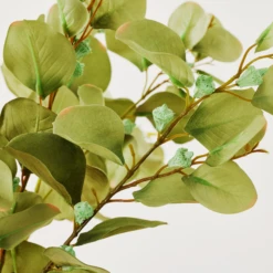 Eucalyptus Spray - Set Of 3 -Home Decor Shop webimage 999172481 dtl