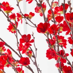 Plum Blossom Spray - Set Of 3 -Home Decor Shop webimage 999217220 ALT