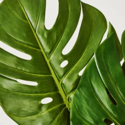 Faux Small Split Philo Leaf - Set Of 3 -Home Decor Shop webimage 999904554 dtl